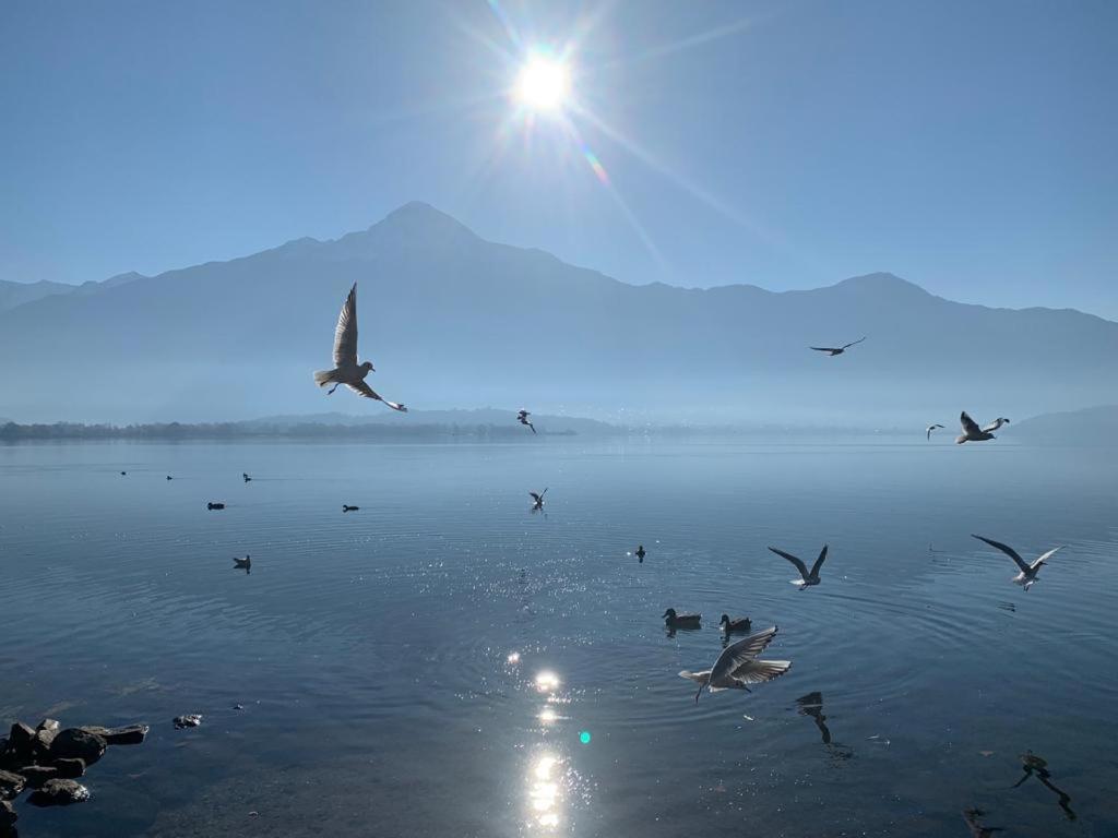 My Holiday- Lake House La Gemma Gera Lario Exterior photo